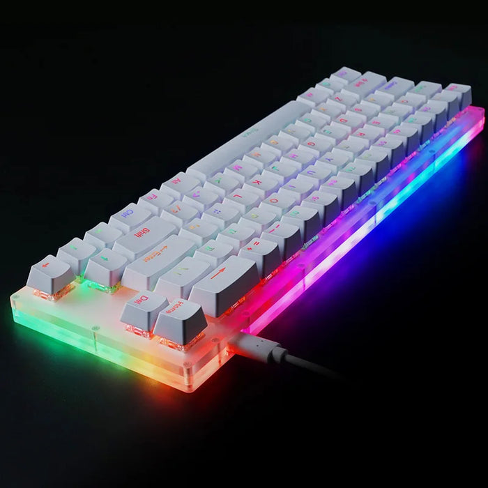 Womier k66 Custom Mechanical Keyboard Kit 65% 66 PCB CASE hot swappable switch support lighting effects with RGB switch led