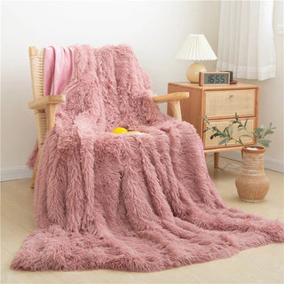 Long Plush Ultra Soft Warm Blanket