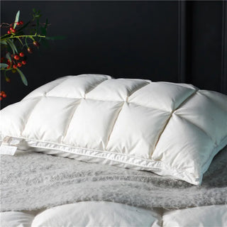 Include 2Pcs 20x30" Premium High End Natural Goose Down Pillows for Sleeping Down Pillow 100% Cotton Downproof Pillow Cover