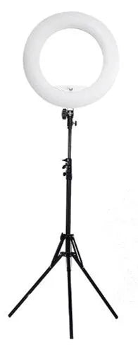 Yidoblo white FS-480II Pro Warm & cold adjustable make up LED Ring Light LED Lamp+ 2M light standing+Bag + Battery