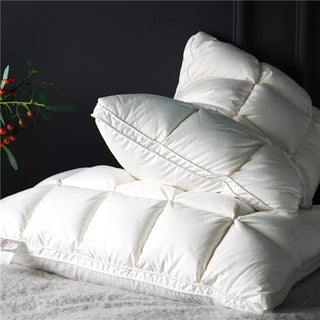Include 2Pcs 20x30" Premium High End Natural Goose Down Pillows for Sleeping Down Pillow 100% Cotton Downproof Pillow Cover