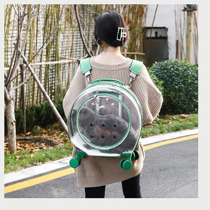 Transparent pet trolley cat bag multifunctional bag for pet portable space capsule dog travel backpack