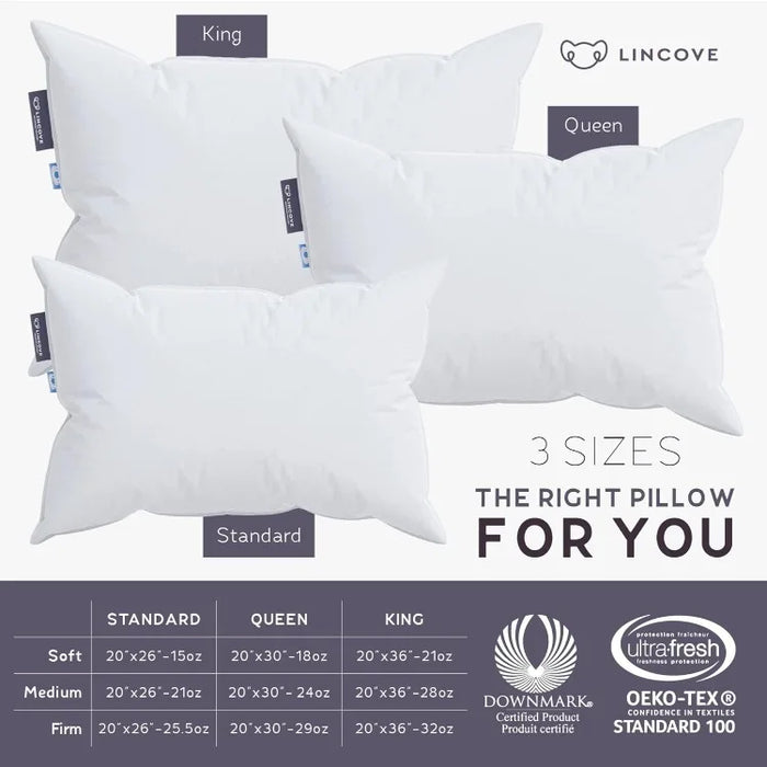 Cloud Natural Canadian White Down Luxury Sleeping Pillow - 625 Fill Power, 500 Thread Count Cotton Shell, Made in Canada