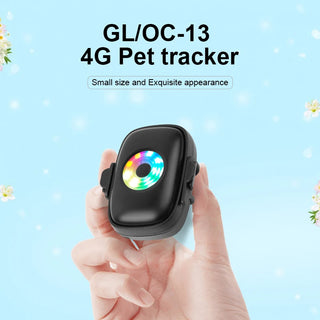 4g Real-Time 4G Anti Lost Tracking GPS Pet Dogs Mini Collar Pet Puppy Cat Locator Finder Dog GPS Tracker