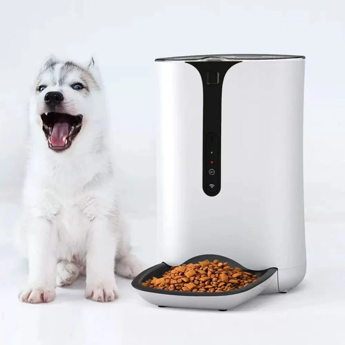 smart 6L capacity wifi remote control automatic pet dog animal feeder machine with Hd canmera