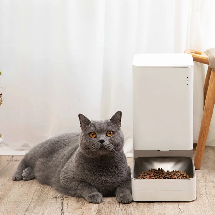 Feeder smart pet best selling wholesale cats food feeder dog smart automatic pet feeder