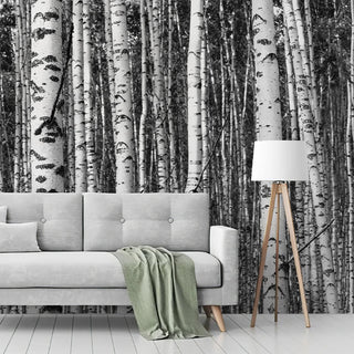 Thickened PVC Custom Mural Grey Birch Forest Wallpaper Living Room Paranormal Landscape Mural Jungle Woodland Bedroom Mural
