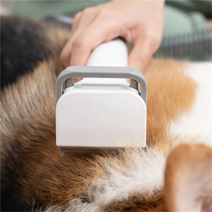 LoveMyHome Professional Grooming Cutter with 5 Proven Grooming Tools Pet Grooming Kit & Vacuum Suction 99% Pet Hair for dag &cat