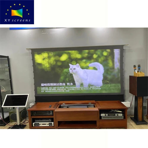 XYSCREEN Black Housing Clr Pet Crystal Motorized Floor Rising Projector Screen For Ust Projectors