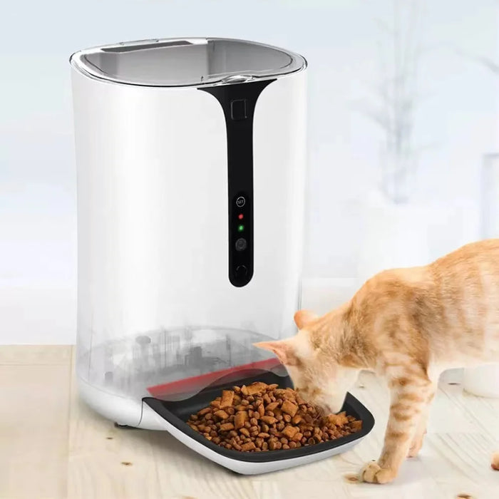 smart 6L capacity wifi remote control automatic pet dog animal feeder machine with Hd canmera