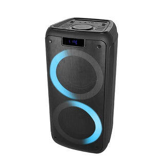 TEMEISHENG Dual 8 Inch Karaoke Portable Bluetooth party box speaker with microphone