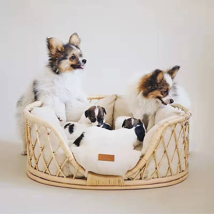 Pet cat and dog sofa rattan nest good cleaning pet bed Indonesian rattan handmade dog rattan bed