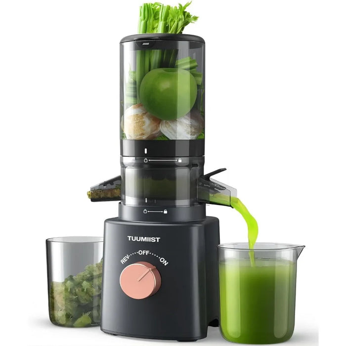 Juicer Machines,Cold Press Juicer with 4.25'' Large Feed Chute Fit Whole Vegetable And Fruit, Masticating Juicer Easy To Clean