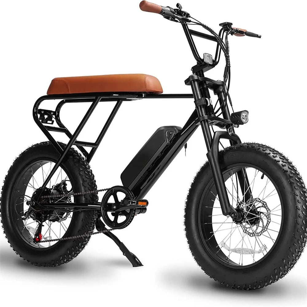 Electric Bicycles