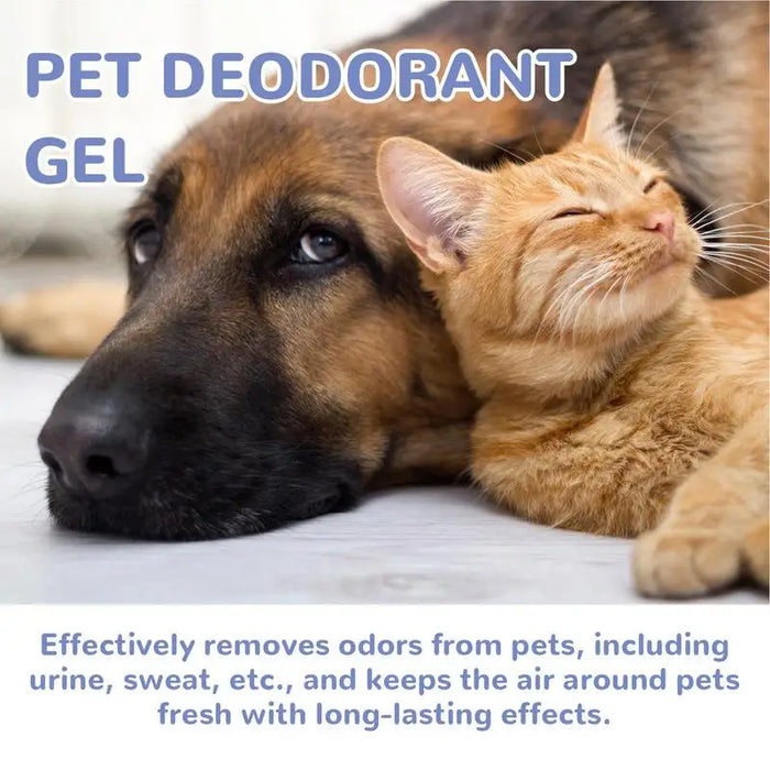 Pet Deodorizing Gel Pet Odor Absorber Gel Air Freshener Pet-Friendly Air Freshening Gel Natural Plant Extract Eliminates