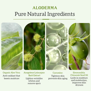 Organic Aloe Firming Cream - Anti Aging & Firming