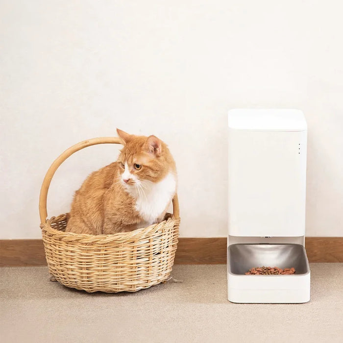 Feeder smart pet best selling wholesale cats food feeder dog smart automatic pet feeder