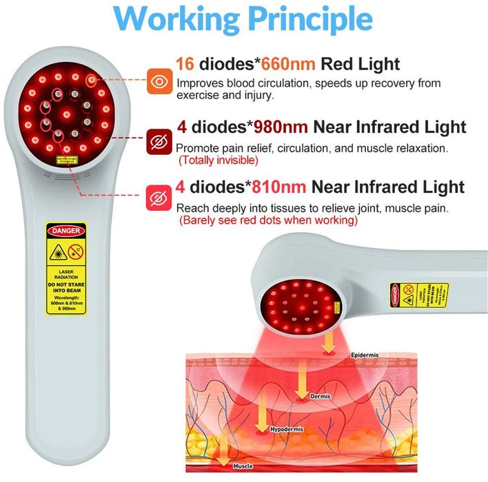 ZJZK 980nm*4 810nm*4 660nm*16 Physical Red Light Laser Therapy for Humans Laser Treatment for Pelvic Floor Improvement Home Use