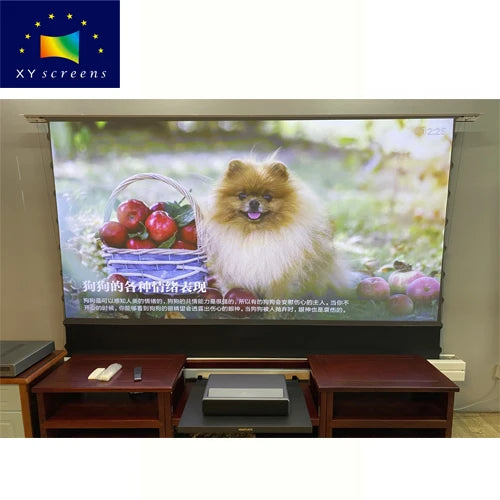 XYSCREEN Black Housing Clr Pet Crystal Motorized Floor Rising Projector Screen For Ust Projectors