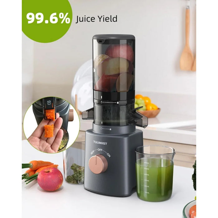 Juicer Machines,Cold Press Juicer with 4.25'' Large Feed Chute Fit Whole Vegetable And Fruit, Masticating Juicer Easy To Clean