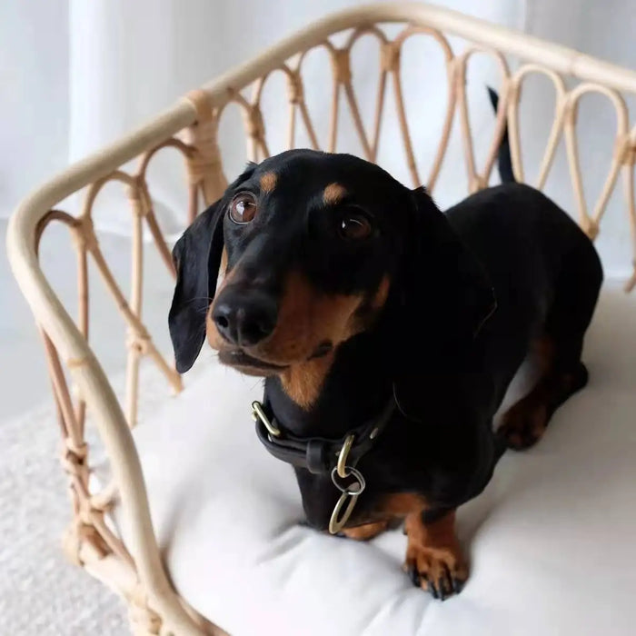 Pet cat and dog sofa rattan nest good cleaning pet bed Indonesian rattan handmade dog rattan bed