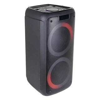 TEMEISHENG Dual 8 Inch Karaoke Portable Bluetooth party box speaker with microphone