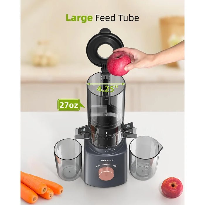 Juicer Machines,Cold Press Juicer with 4.25'' Large Feed Chute Fit Whole Vegetable And Fruit, Masticating Juicer Easy To Clean