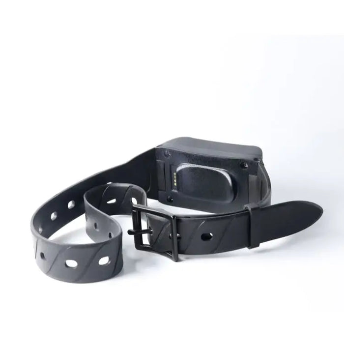 LKGPS High quality LK880 outdoor hunting pets dog collar with location functions and 4g gps tracking equipment