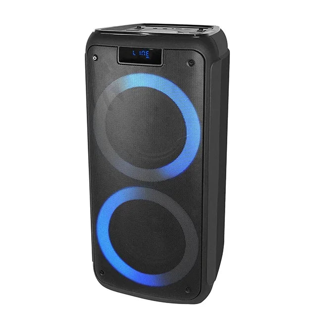 TEMEISHENG Dual 8 Inch Karaoke Portable Bluetooth party box speaker with microphone