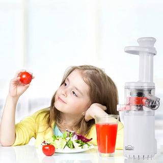 Slow Mini Juicer Extractor Easy to Clean, Cold Press Juicer Machine with quiet motor for High Nutrient Fruit & Vegetable Juice