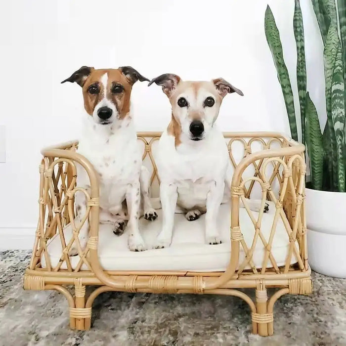 Pet cat and dog sofa rattan nest good cleaning pet bed Indonesian rattan handmade dog rattan bed