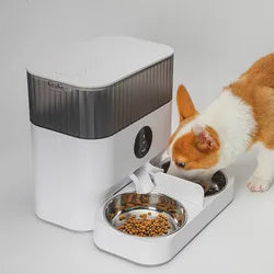 Pet Double Bowl Timer Dosing PP Automatic Cat Feeder Smart Dog Food Bowl