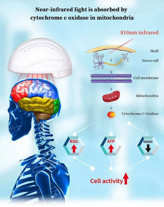 810nm Stimulate Brain Nervous System Alleviates Alzheimer's Stroke Wearable Device