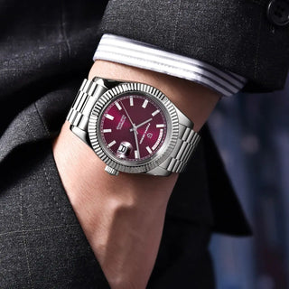 PAGANI DESIGN 2024 New Men's Watches Luxury Automatic Watch Men Mechanical Date Week Wristwatch Men AR Sapphire glass Waterproof